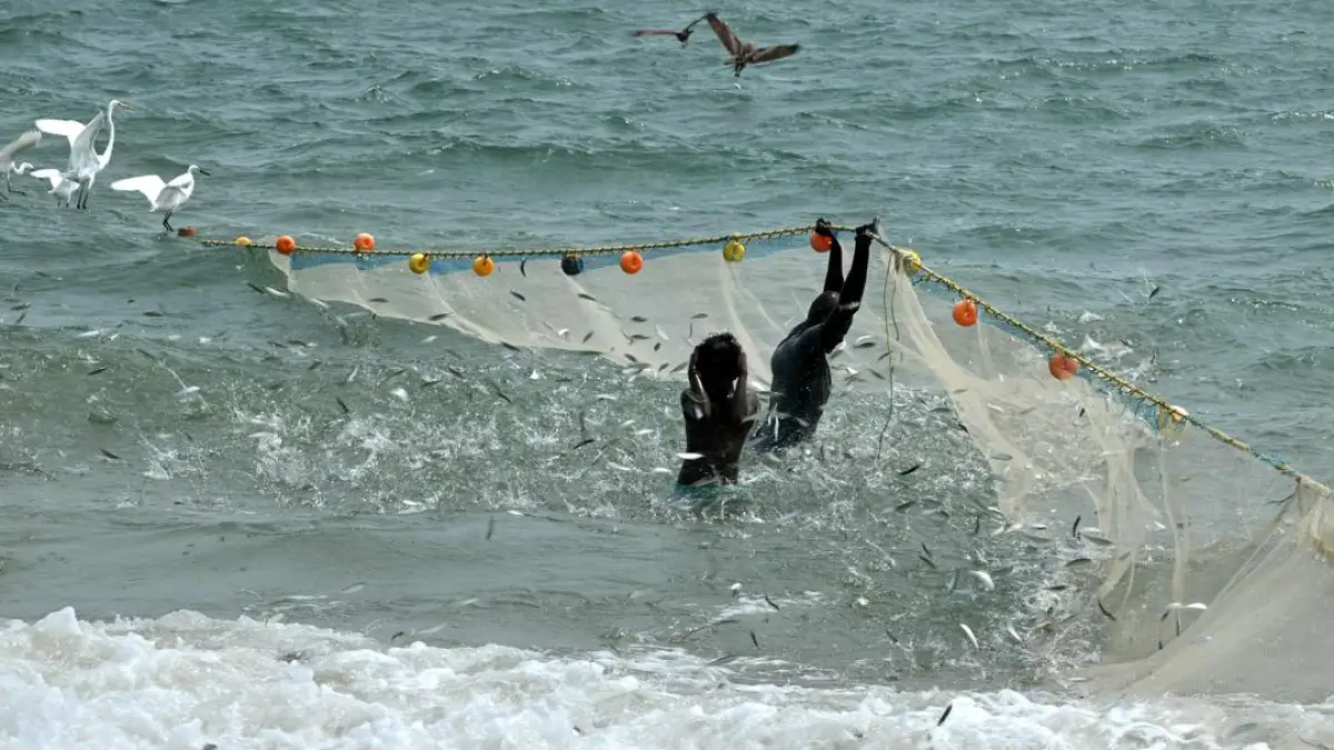 Fishermen dragging the shore net at Thoothukudi New Harbour beach as the inclement weather triggered by cyclone Arnab prevented them from venturing into