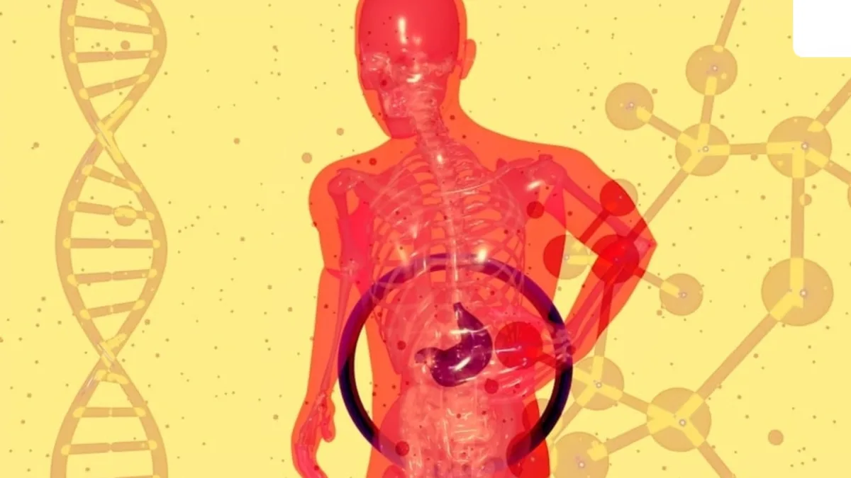 Illustration of a liver with fatty deposits