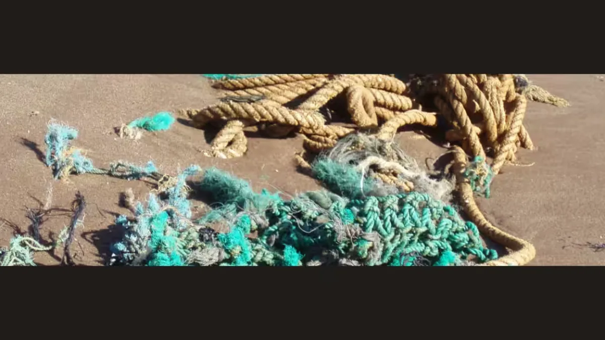 A photo of a fishing net being collected and processed for energy production