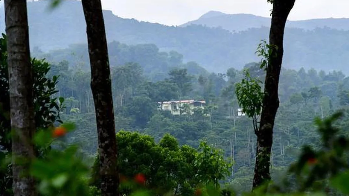 A tiger in its natural habitat, surrounded by lush green forests