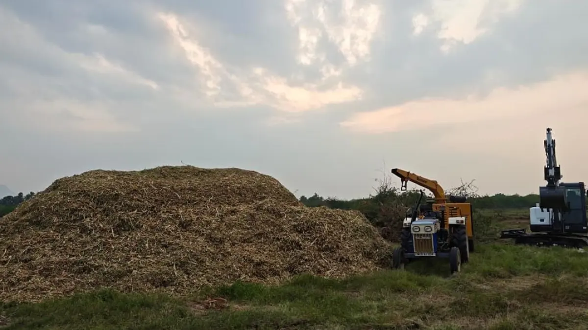 Invasive plants being removed from Palar River irrigation tanks