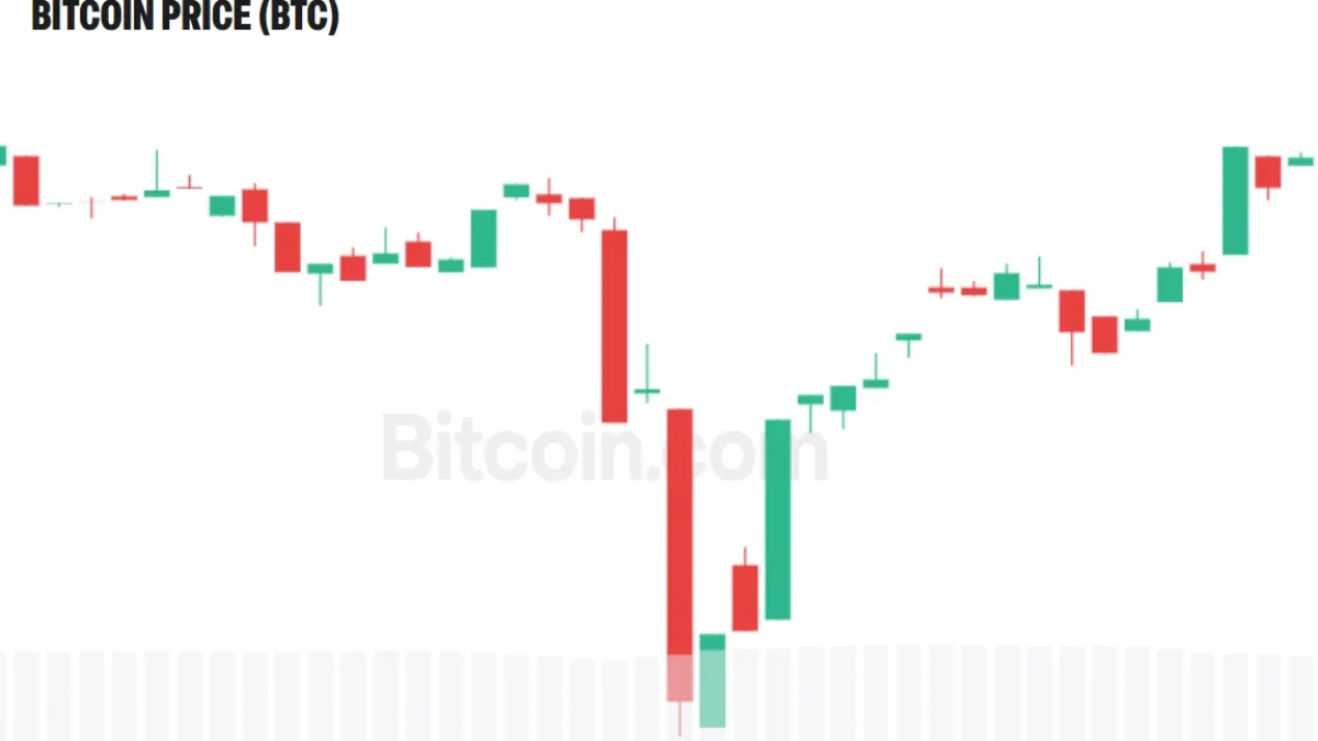 A graph showing the volatility of bitcoin's price