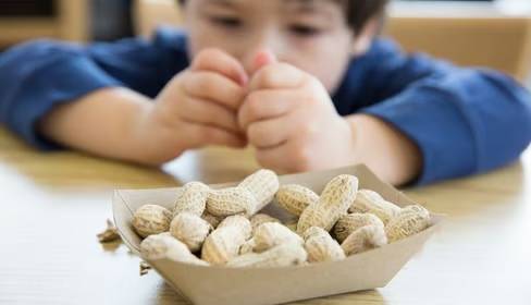Low-Dose Peanut Therapy Offers Safer Treatment Option for Children with Peanut Allergy