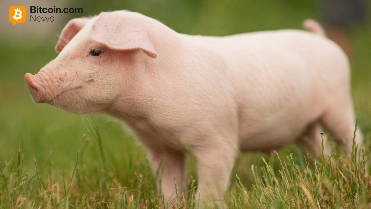 China's Groundbreaking Initiative Against Pig Butchering Scams: 276 Arrested - 24SevenUpdates